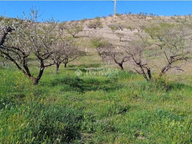 Terreno en venta en Comarca de la Vega de Granada, Andalucía