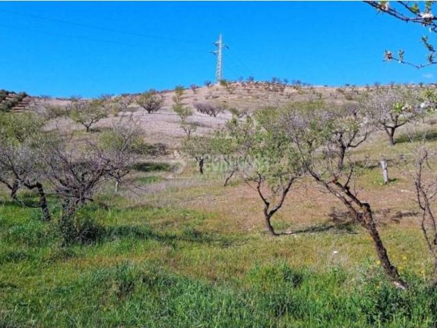 Terreno en venta en Comarca de la Vega de Granada, Andalucía