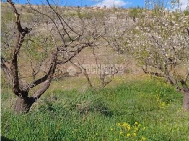 Terreno en venta en Comarca de la Vega de Granada, Andalucía