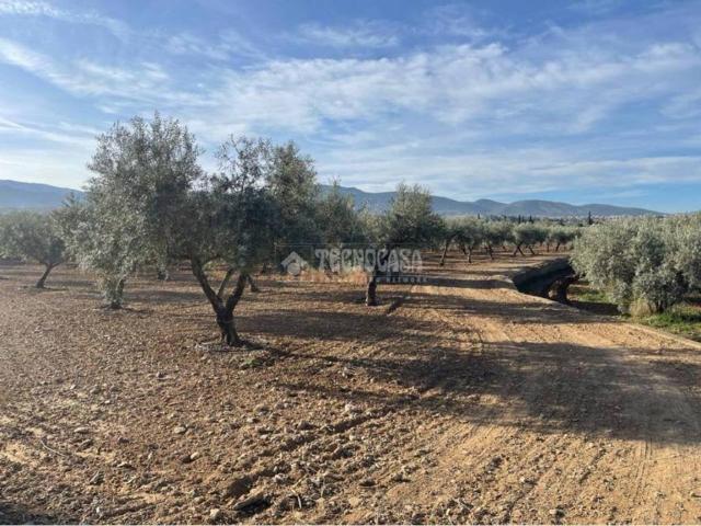 Terreno en venta en Comarca de la Vega de Granada, Andalucía