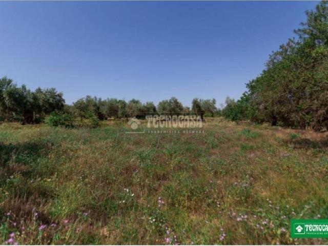 Terreno en venta en Comarca de la Vega de Granada, Andalucía