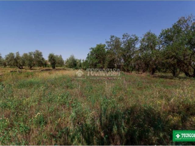Terreno en venta en Comarca de la Vega de Granada, Andalucía