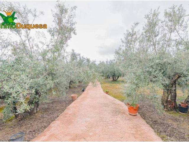 Terreno en venta en Comarca de la Vega de Granada, Andalucía