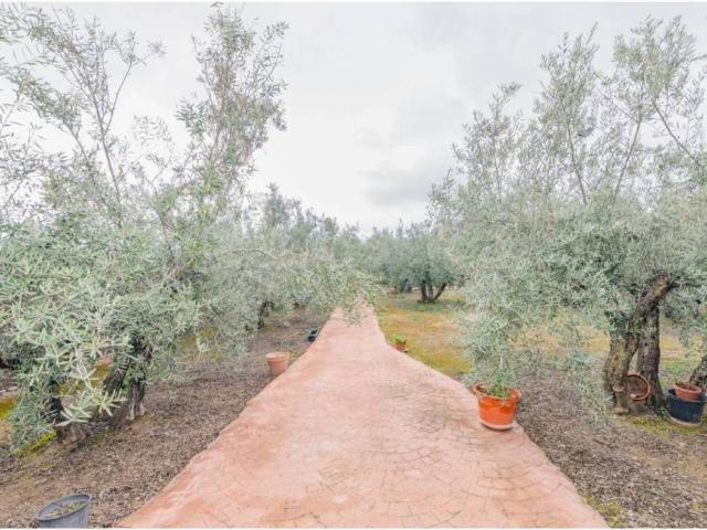 Terreno en venta en Comarca de la Vega de Granada, Andalucía