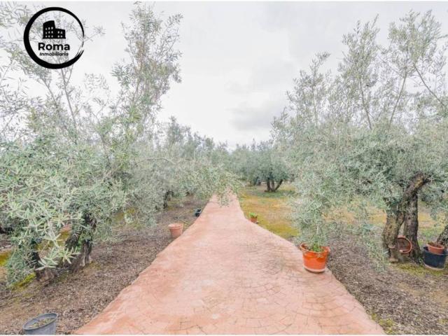 Terreno en venta en Comarca de la Vega de Granada, Andalucía