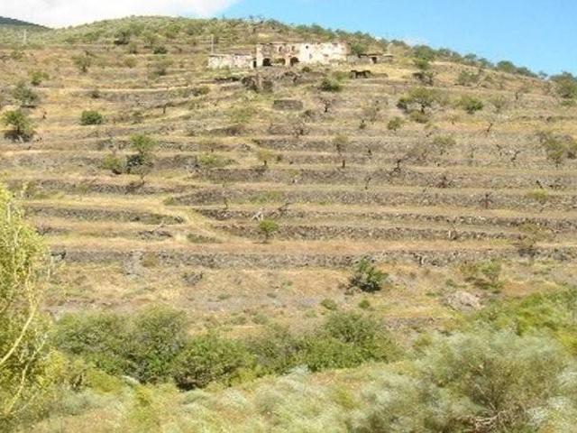 Terreno en venta en Ohanes, Almería