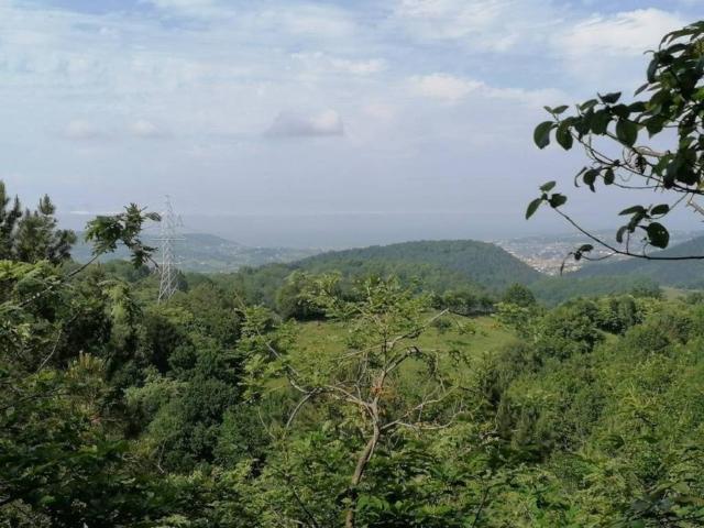 Terreno en venta en Oiartzun, Guipúzcoa