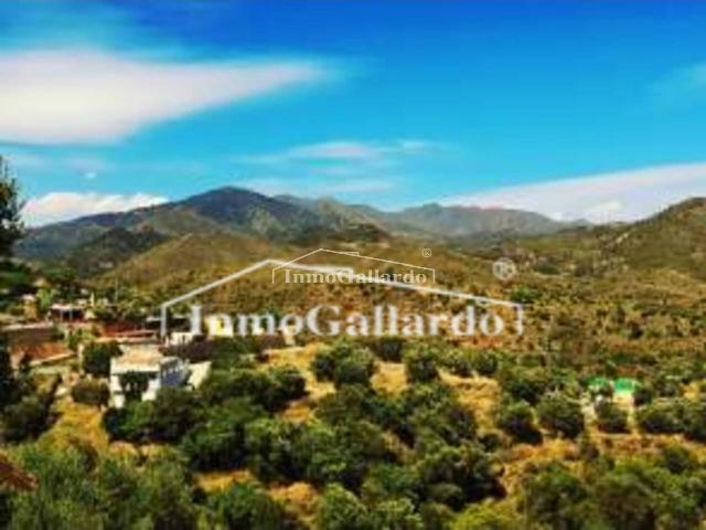 Terreno en venta en Ojén Terreno en venta en Ojén