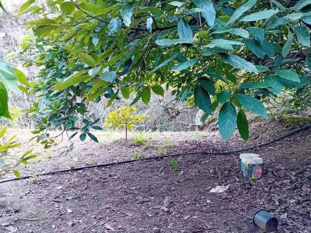 Terreno en venta en Ojén, Málaga