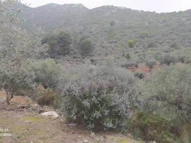Terreno en venta en Sierra de las Nieves, Andalucía