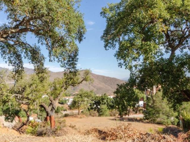 Terreno en venta en La Mairena, Sierra de las Nieves