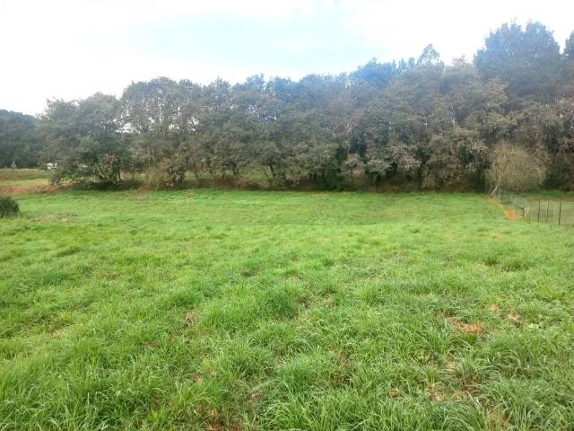 Terreno en venta en Oleiros