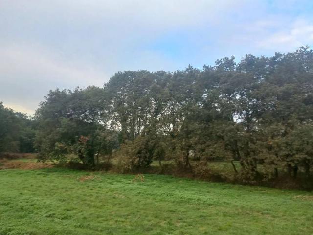 Terreno en venta en Oleiros