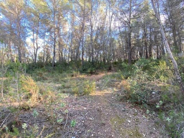 Terreno en venta en Olèrdola, Barcelona