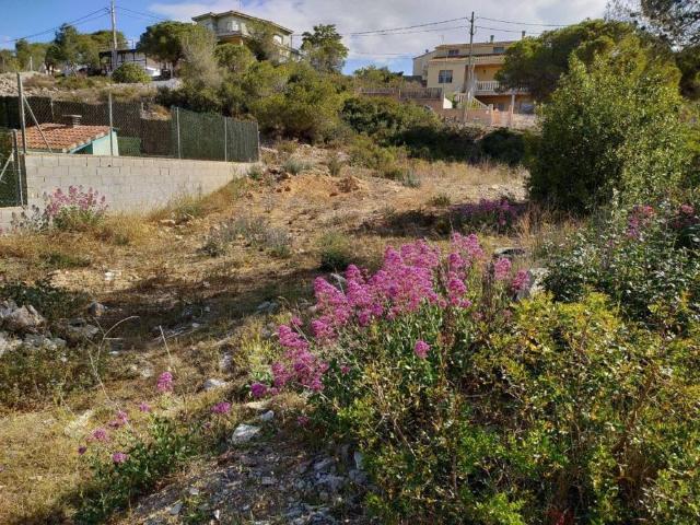 Terreno en venta en Olèrdola, Barcelona