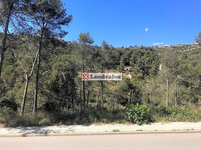 Terreno en venta en Alt Penedès, Catalunya