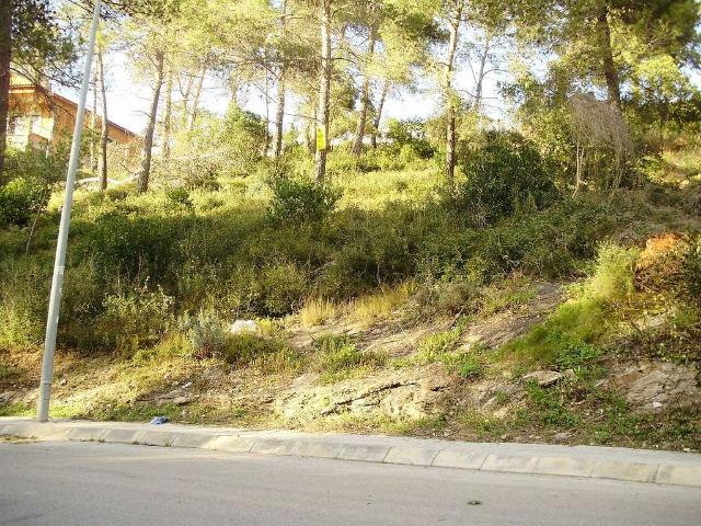 Terreno en venta en Ca n'Olivella, Alt Penedès