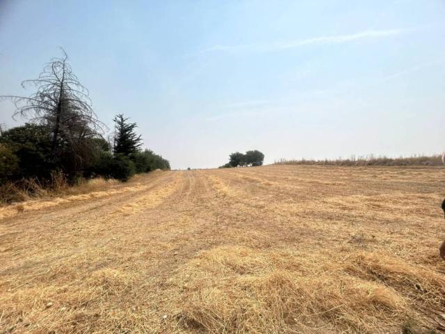 Terreno en venta en Olías Del Rey, Castilla-La Mancha
