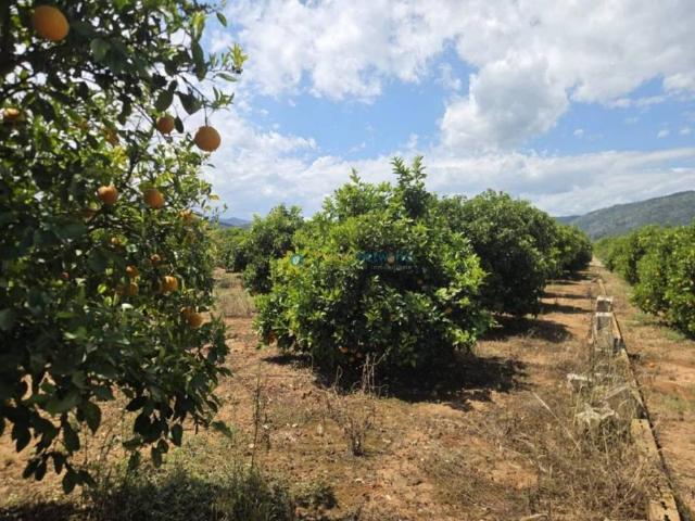 Terreno en venta en la Safor, Valencia