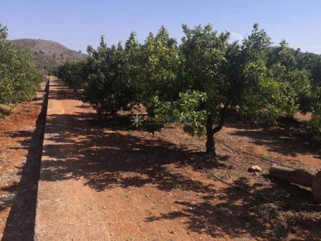 Terreno en venta en la Safor, Valencia