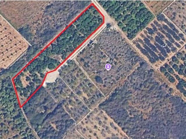 Terreno en venta en la Safor, Valencia