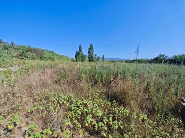 Terreno en venta en la Safor, Valencia