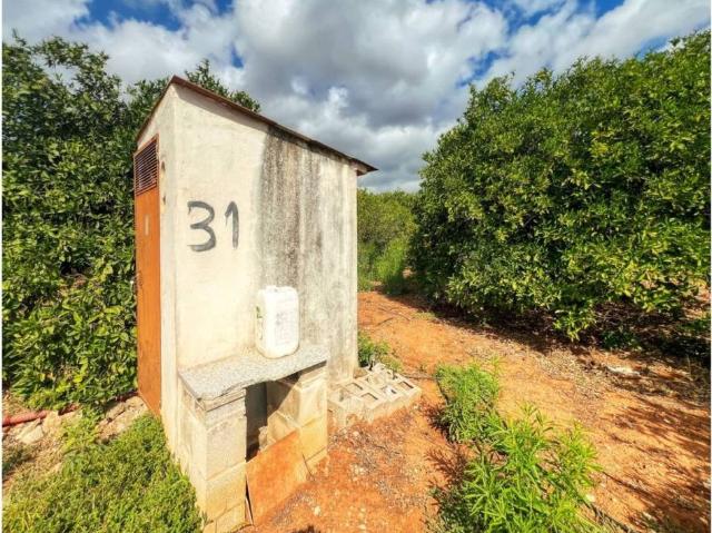 Terreno en venta en la Safor, Valencia