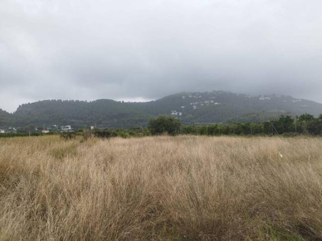 Terreno en venta en la Safor, Valencia