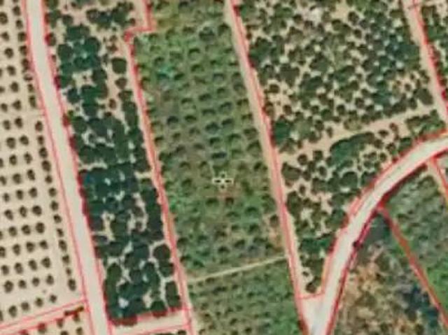 Terreno en venta en la Safor, Valencia