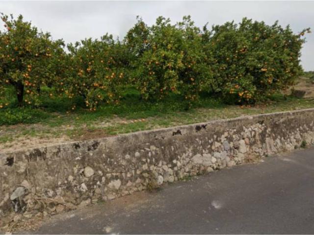 Terreno en venta en la Safor, Valencia