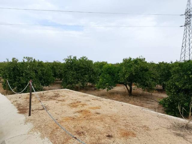 Terreno en venta en la Safor, Valencia