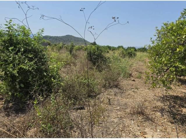 Terreno en venta en la Safor, Valencia