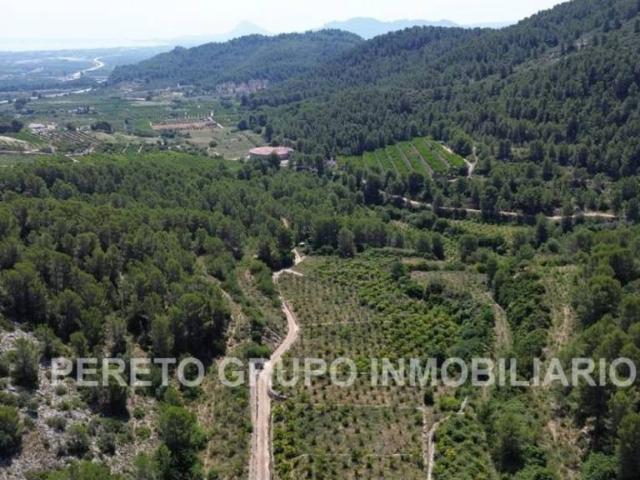 Terreno en venta en la Safor, Valencia