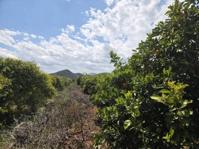 Terreno en venta en la Safor, Valencia