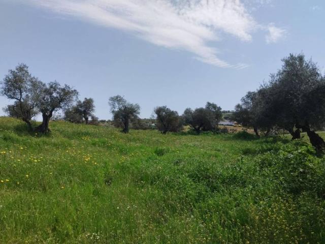 Terreno en venta en Sierra Suroeste, Extremadura