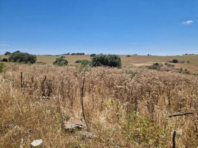 Terreno en venta en Oliva De Mérida, Extremadura