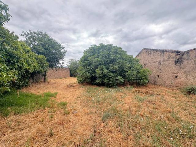 Terreno en venta en Oliva De Plasencia, Extremadura
