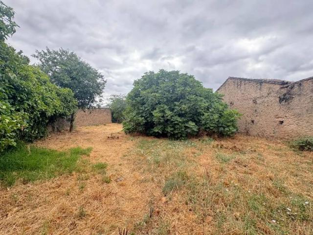 Terreno en venta en Oliva De Plasencia, Extremadura