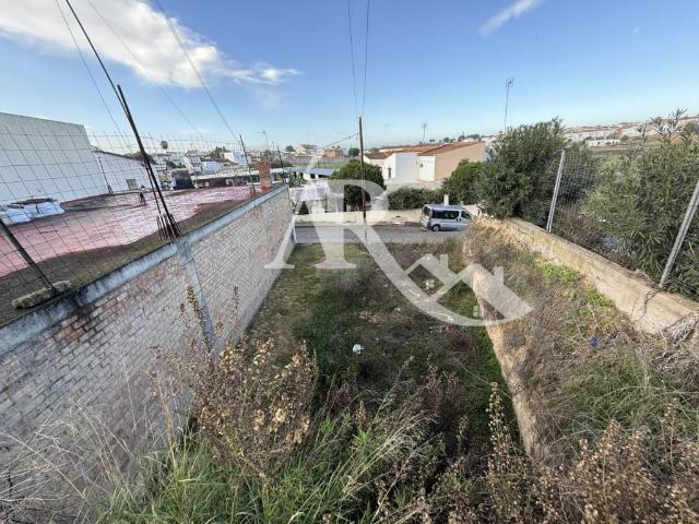 Terreno en venta en Olivares, Sevilla