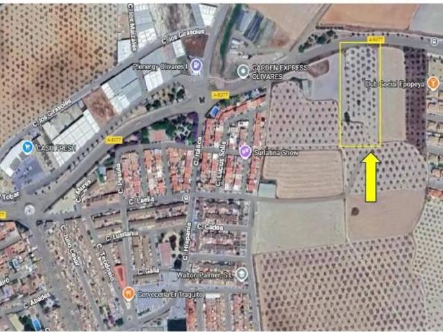 Terreno en venta en Olivares, Andalucía