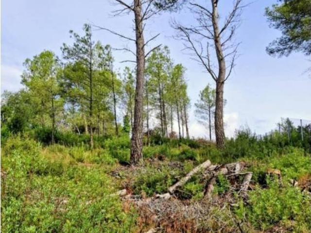 Terreno en venta en Garraf, Catalunya
