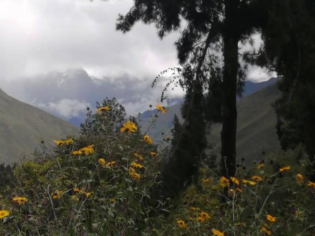 Terreno venta en Urubamba, Cusco
