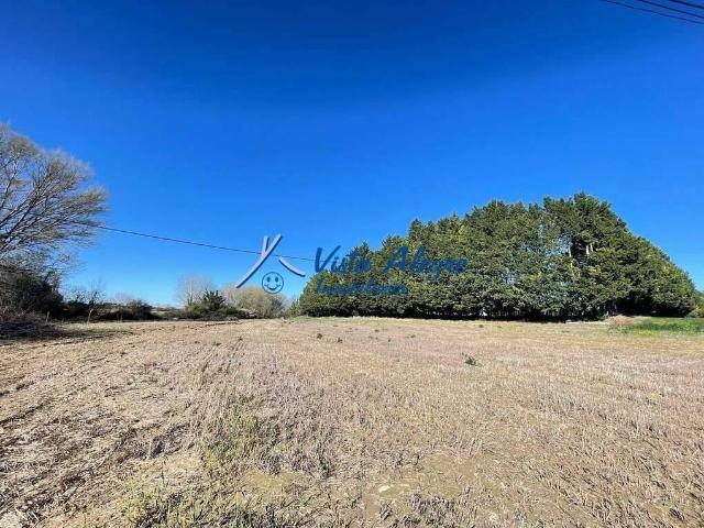 Terreno en venta en Ollauri, La Rioja