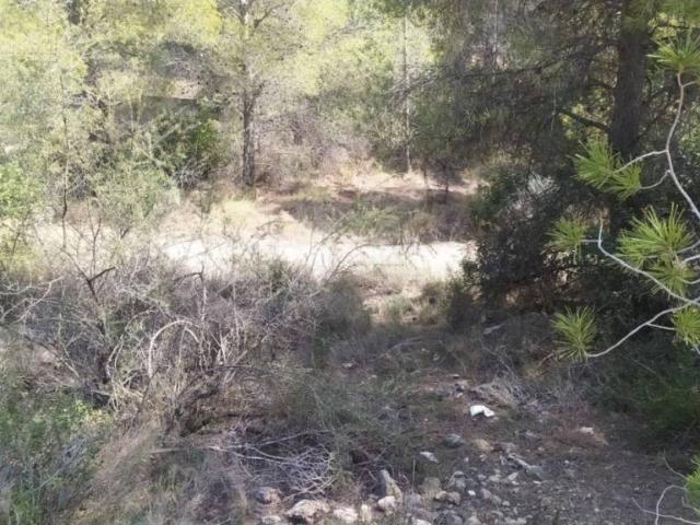 Terreno en venta en el Camp de Túria, Valencia