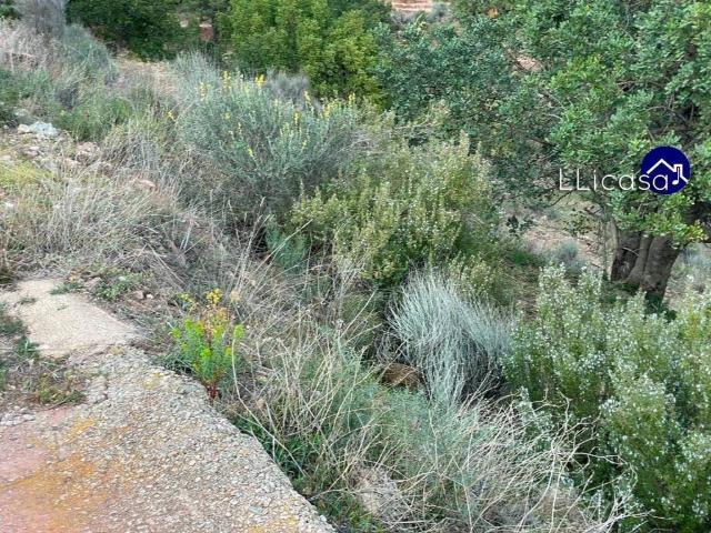 Terreno en venta en el Camp de Túria, Valencia