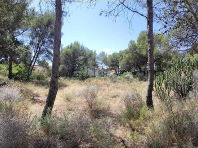 Terreno en venta en el Camp de Túria, Valencia