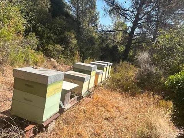 Terreno en venta en la Plana Baixa, Valencia