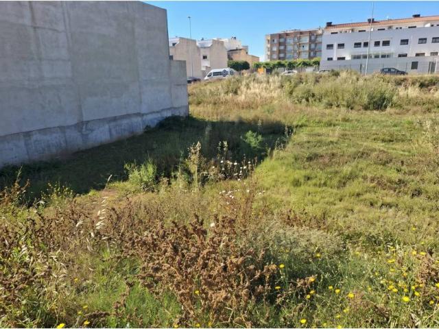 Terreno en venta en la Plana Baixa, Valencia