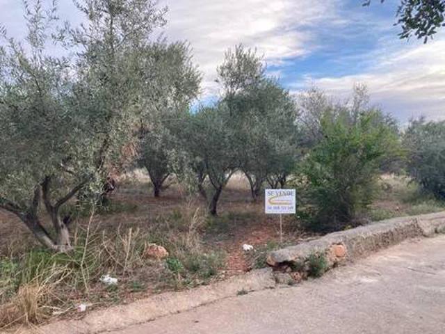 Terreno en venta en la Plana Baixa, Valencia