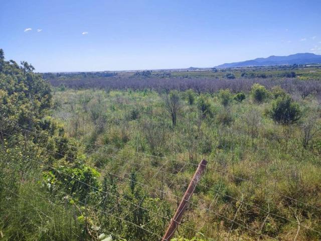 Terreno en venta en la Plana Baixa, Valencia